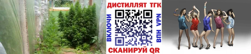 Дистиллят ТГК THC oil  где можно купить наркотик  Окуловка 